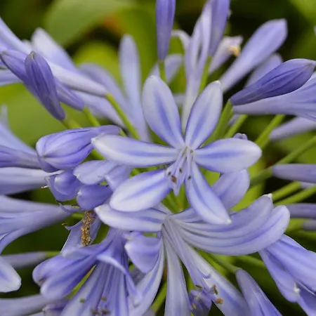 La Vieja Escuela Gæstehus 3*