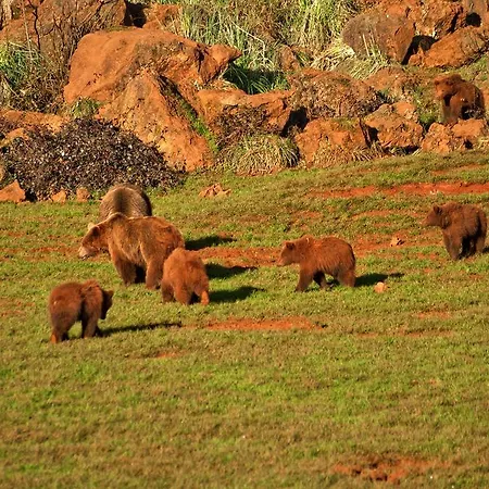 Gæstehus La Vieja Escuela San Roque de Ríomiera