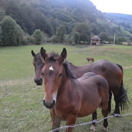 Gæstehus La Vieja Escuela San Roque de Ríomiera