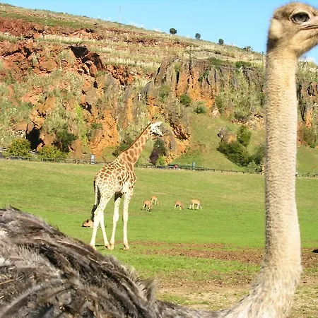 Casa de hóspedes La Vieja Escuela 3*