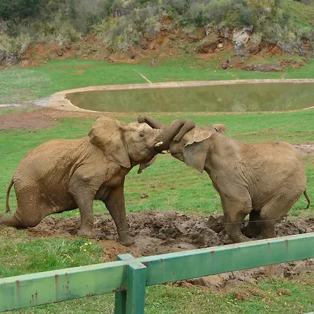 La Vieja Escuela Gæstehus 3*