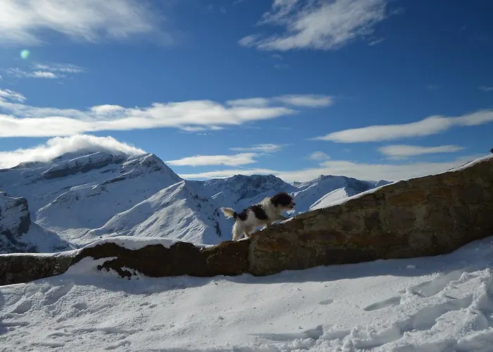 Pensionat La Vieja Escuela