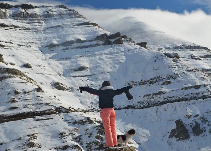 La Vieja Escuela 게스트하우스