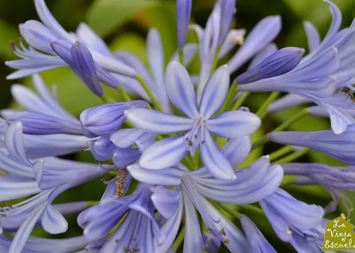 La Vieja Escuela 게스트하우스 3*