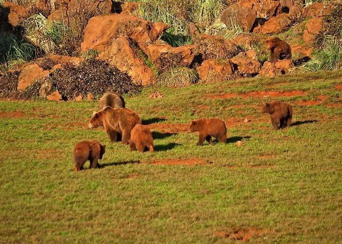 게스트하우스 La Vieja Escuela San Roque de Ríomiera