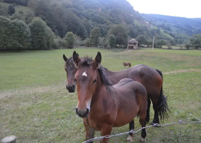 Pensionat La Vieja Escuela San Roque de Ríomiera