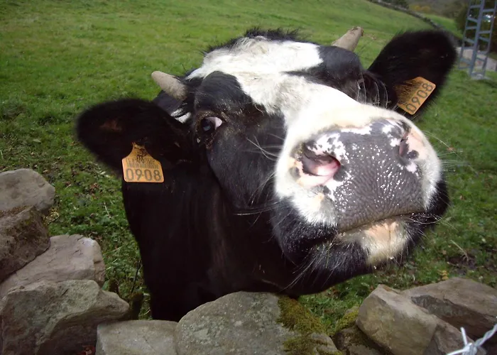 Pensionat La Vieja Escuela 3*