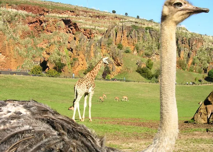 게스트하우스 La Vieja Escuela 3*