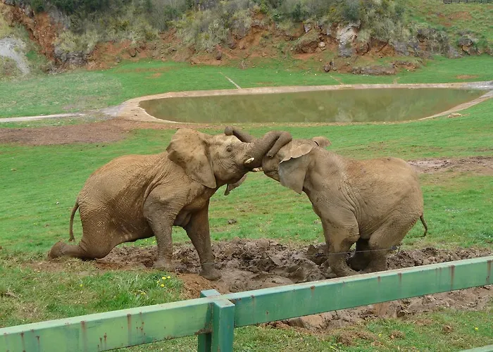 La Vieja Escuela 게스트하우스 3*